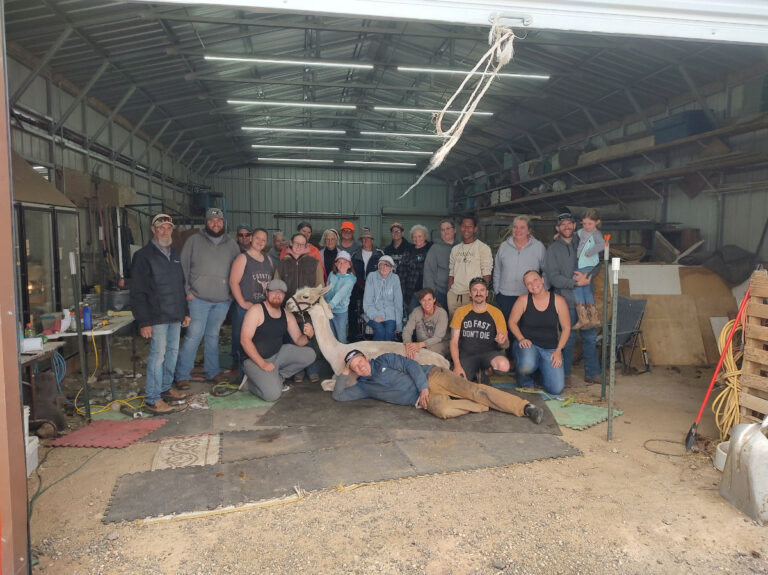 2025 Shearing Day – Done!