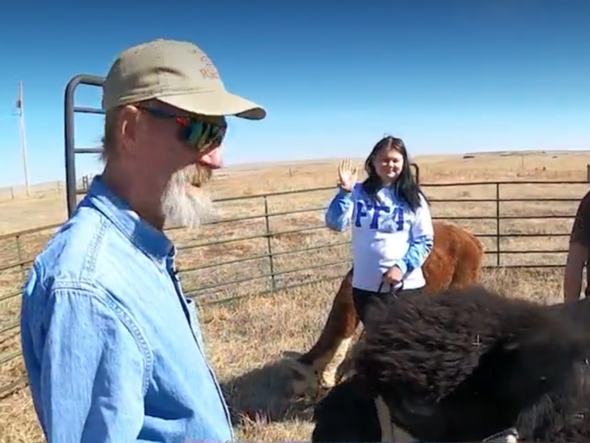 FFA students and Chris demonstrate interacting with alpacas in the pen, on a lead