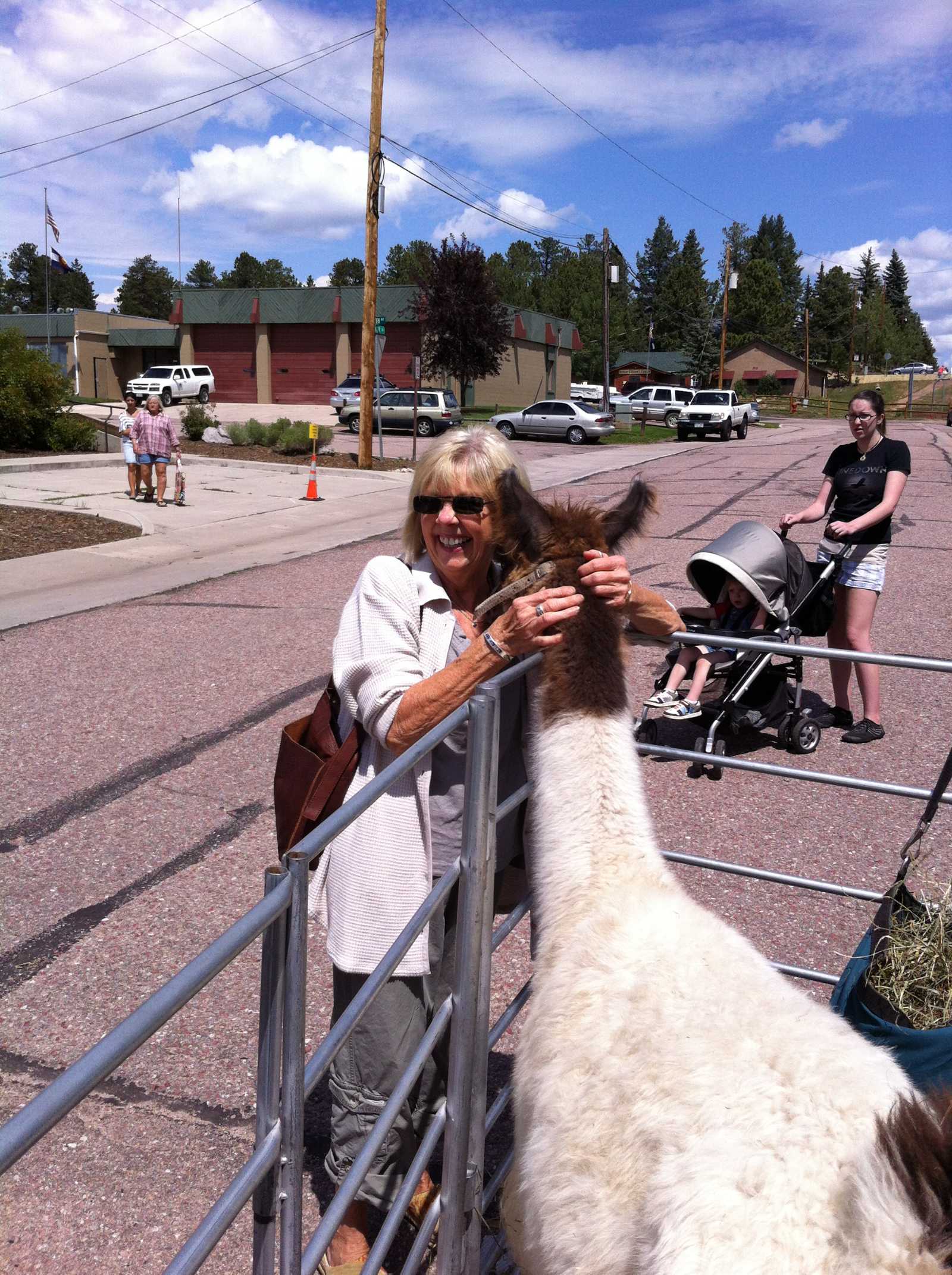 woman gets loves from our friendly alpaca at community event