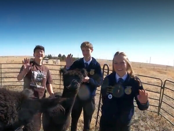 three ffa students wave for the camera while the alpacas smile