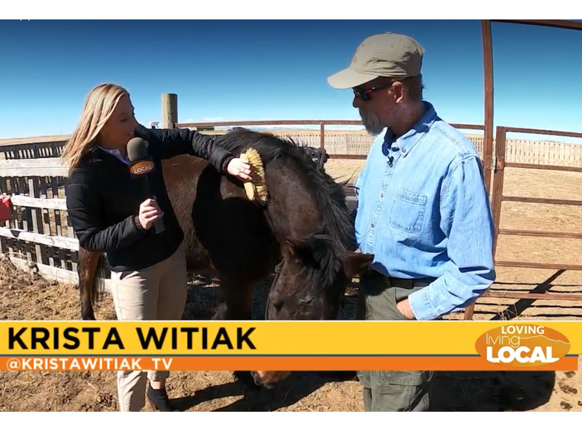 Krista brushes Mouse the horse, while interviewing Chris as Mouse leans into the joy of Krista brushing that spot on his neck he cant reach to scratch