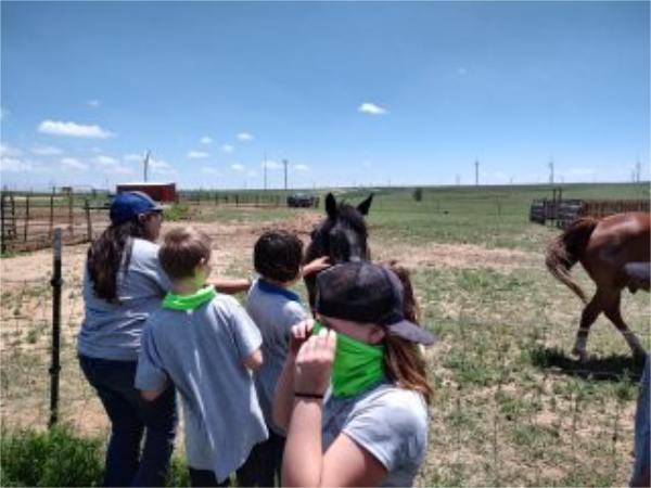 spirit the black pony stands at fence line while children gather to rub his nose or pet his neck.