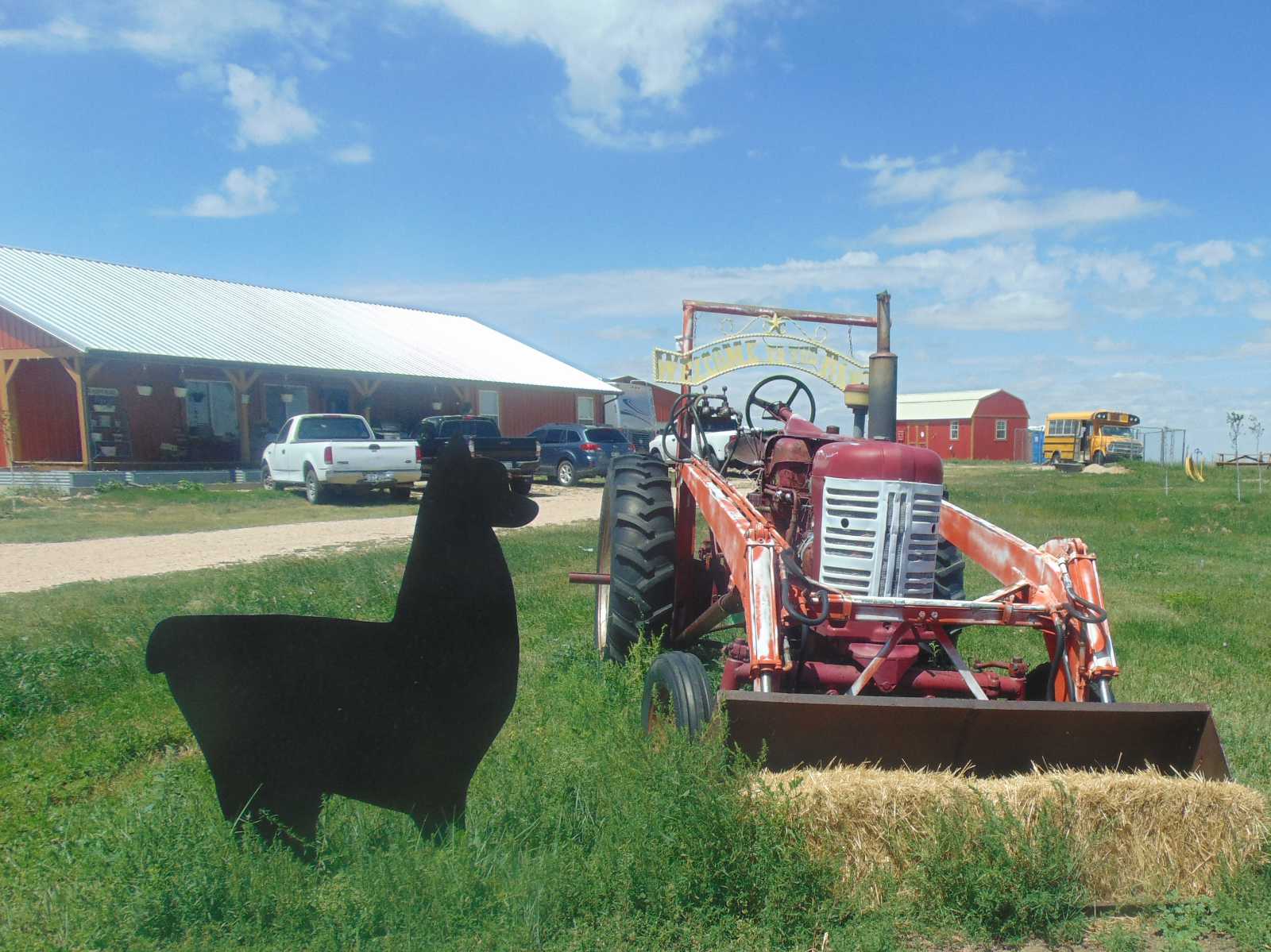 antique tractor with welcome sign and metal siloutte of alpaca nearby greets visitors as they arrive at our ranch